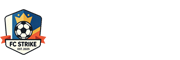 蜘蛛直播